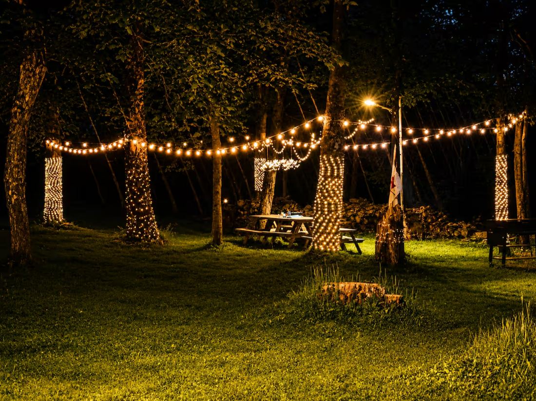 Trees wrapped in string lights over a lawn at night