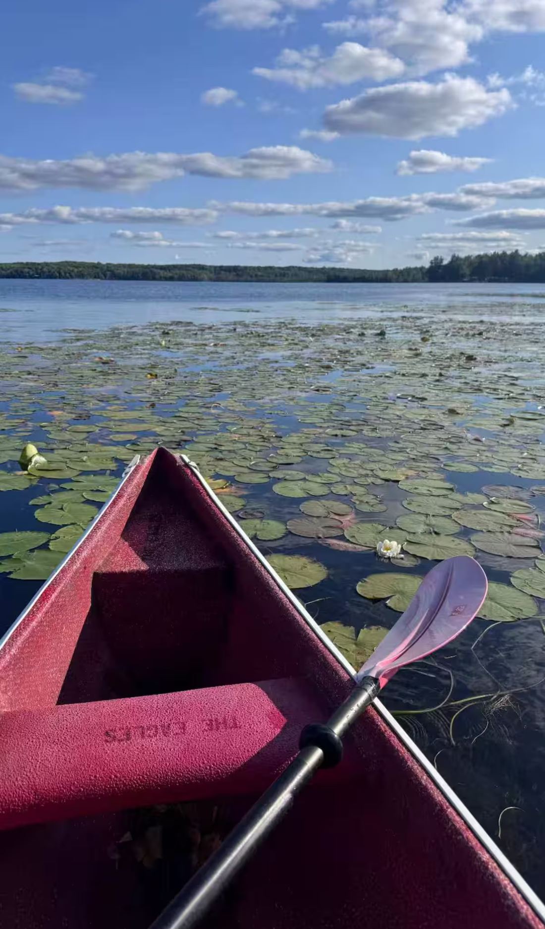 Red canoe bow pointed into lily pads